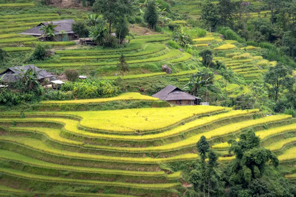 Bốn bước, làm kỹ từng bước