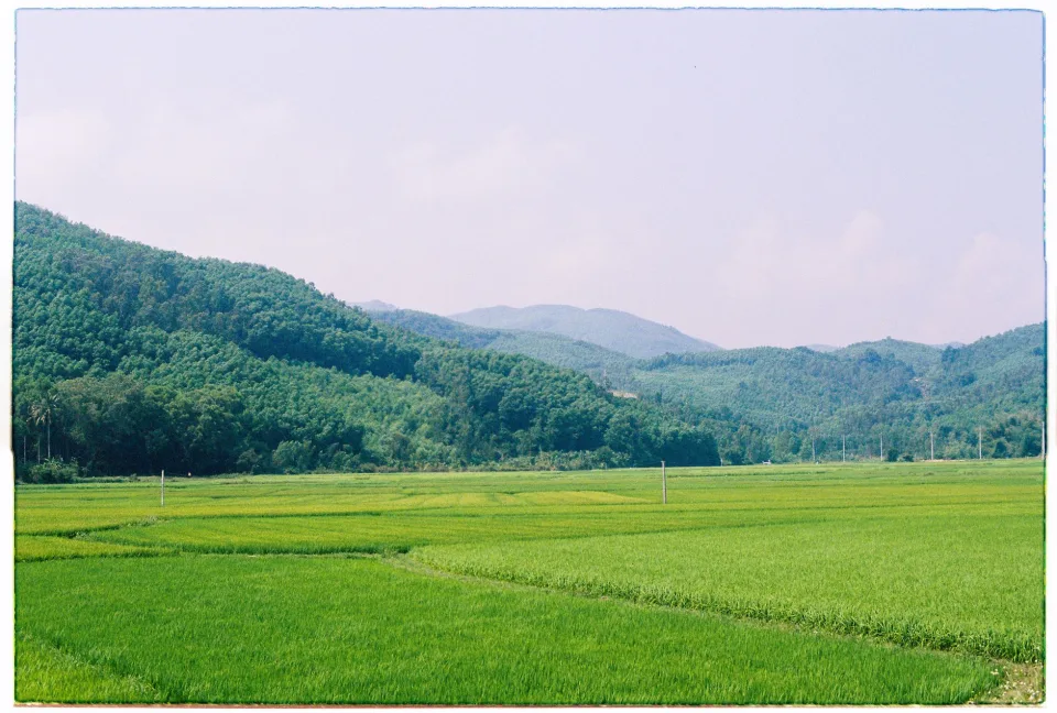 Bốn bước, làm kỹ từng bước