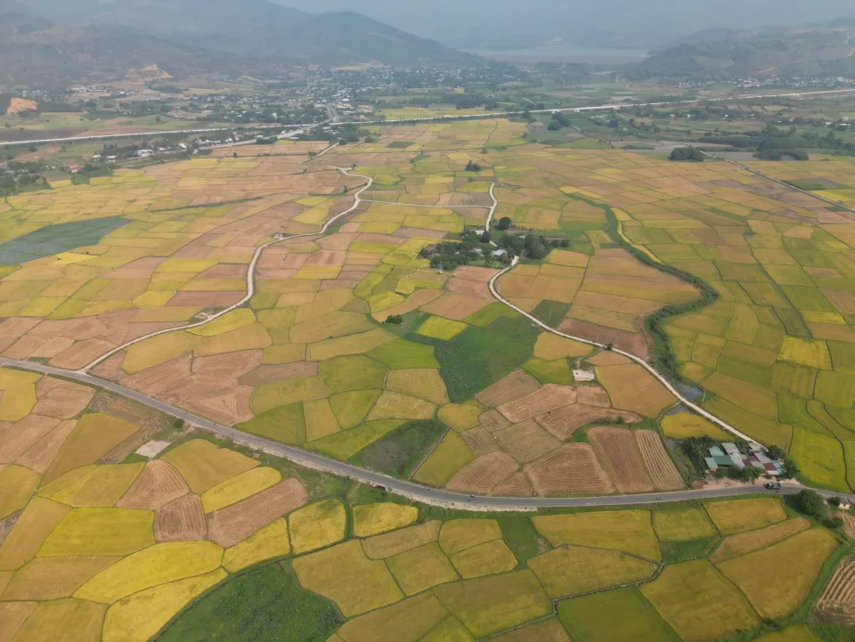 Gạo đang có hàng