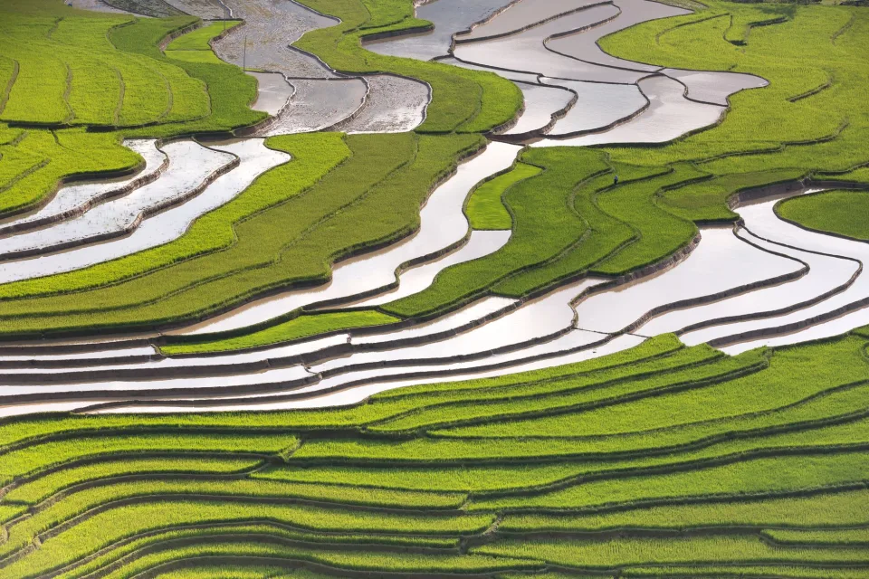 Xếp bao lên xe giao