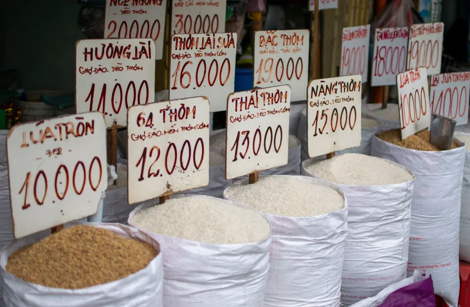 Gạo đang có hàng