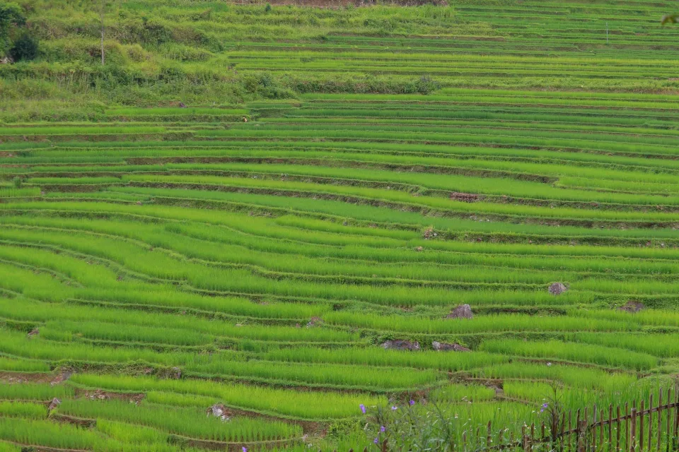 Bốn bước, làm kỹ từng bước