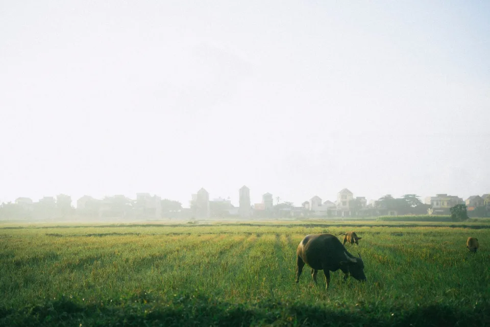 Kho gạo của Gạo Huỳnh Long